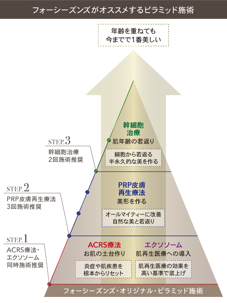 ピラミッド　肌再生医療