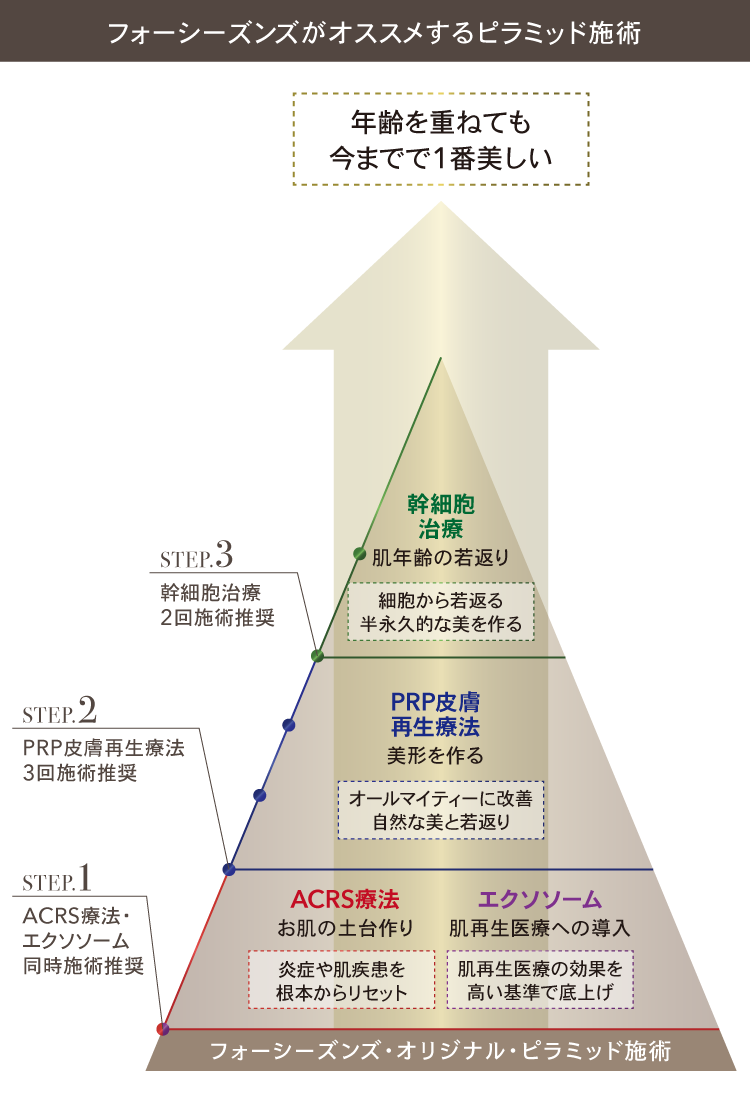 ピラミッド　肌再生医療