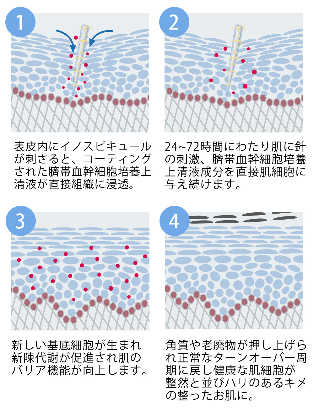 シリカスピッククリーム イノスピキュール効果