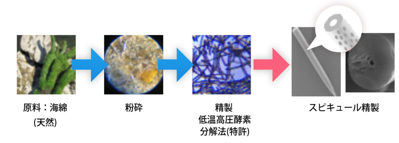 イノスピキュール 生成図