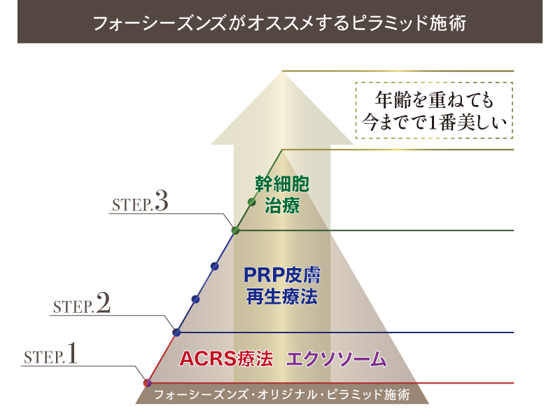 新ピラミッド